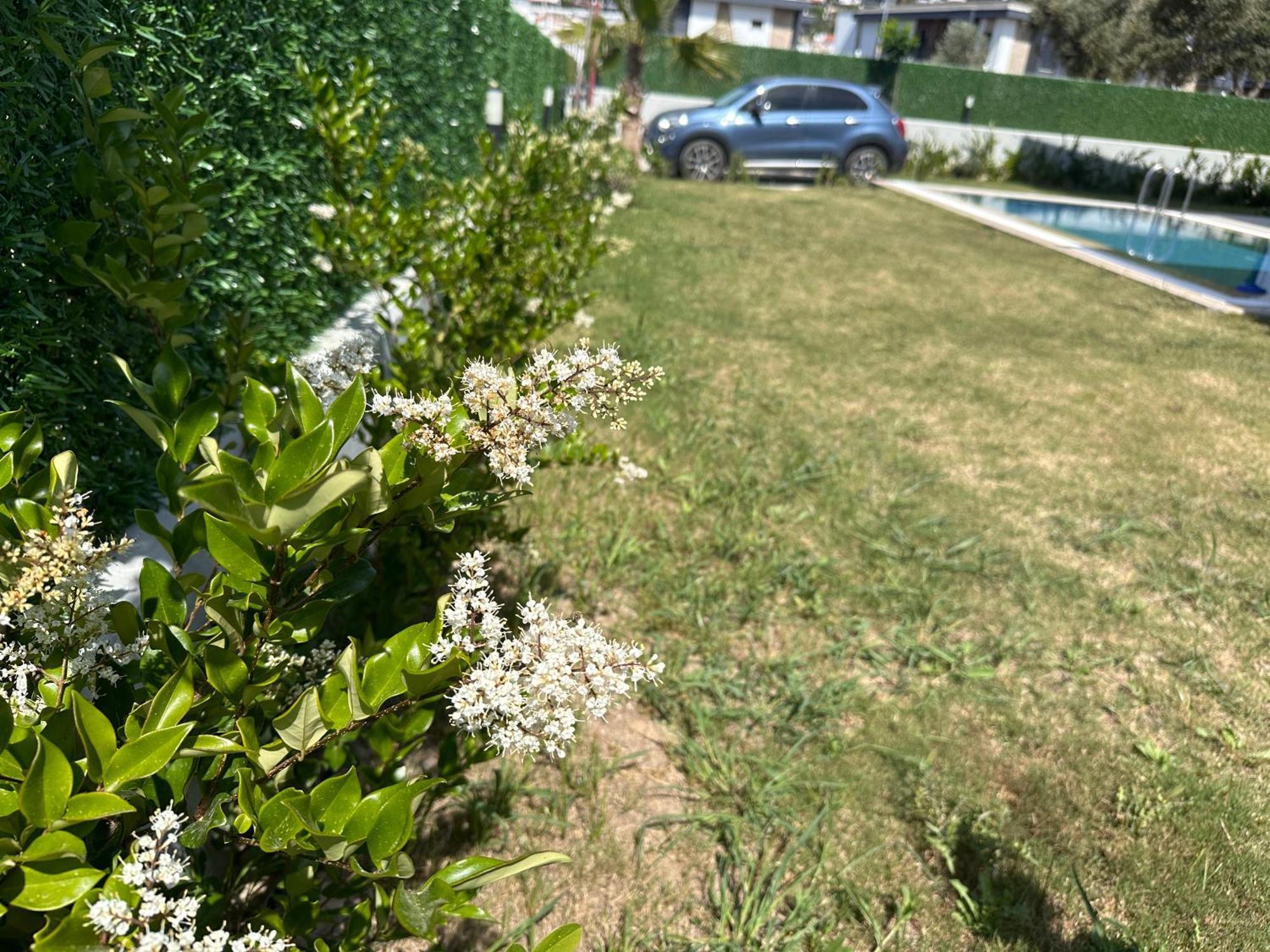 Argun Private Villa Kuşadası