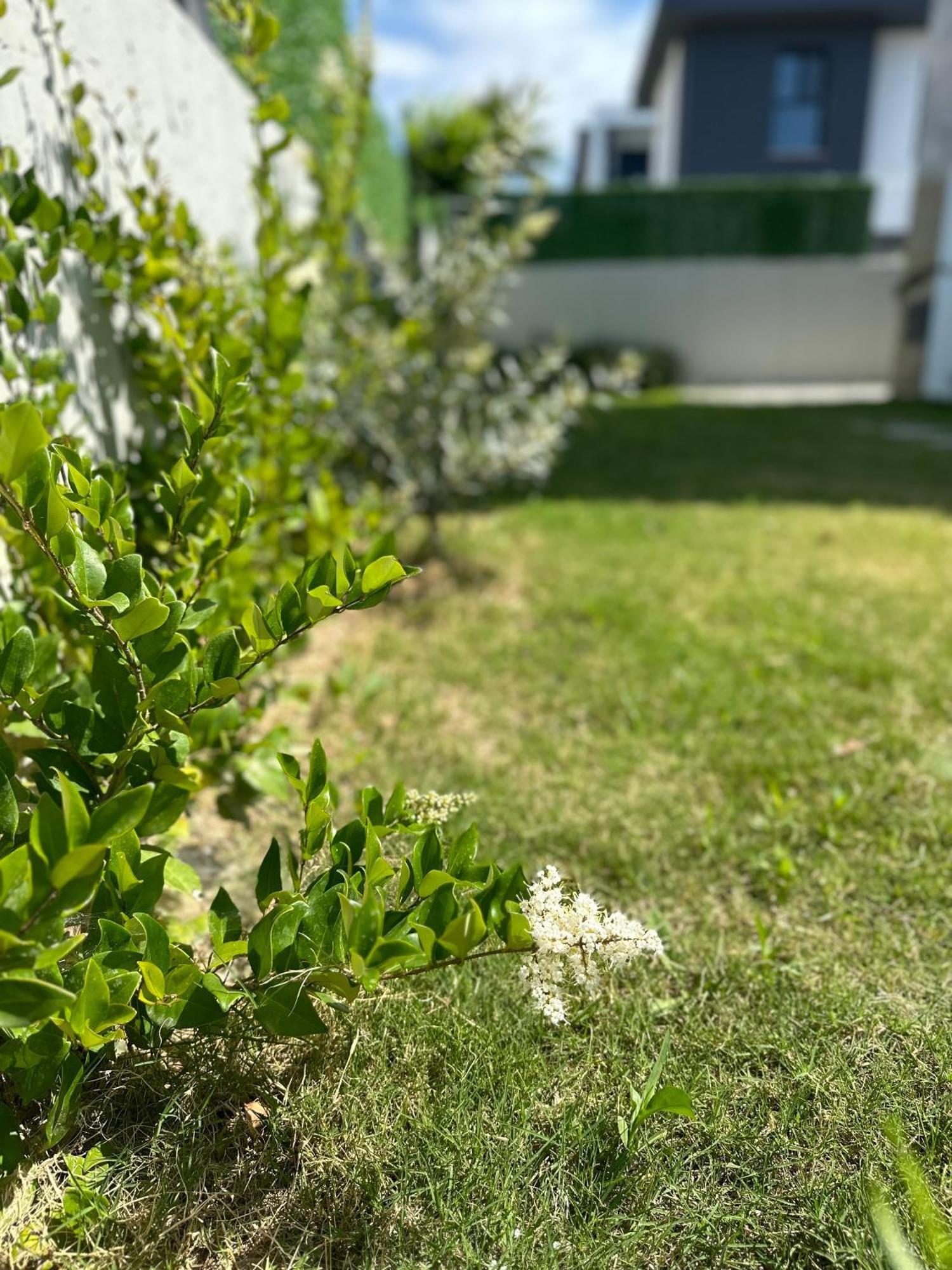 Argun Private Villa *